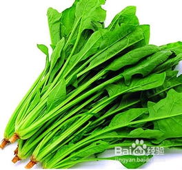 菠菜不能和什么一起吃

