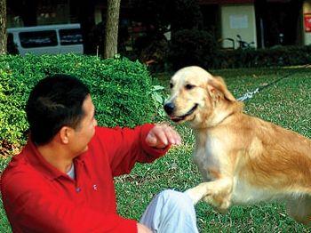 梦见狗咬手出血
