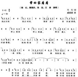 常回家看看原唱歌词 常回家看看原唱歌词全文