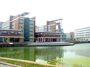 河南省有哪些大学?