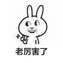 开头歌词 是厉害了我的哥什么歌