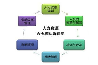 人力资源六大模块内容分别是什么?