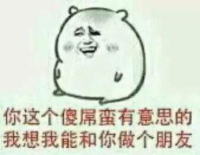 傻是什么意思
