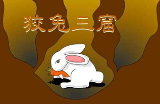 狡兔三窟什么意思
