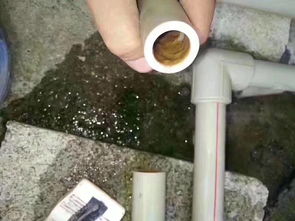 自喷漆怎么去除