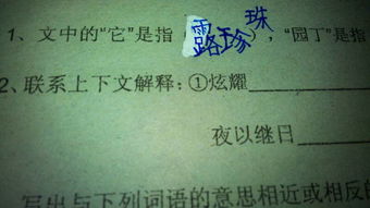 炫耀是什么意思

