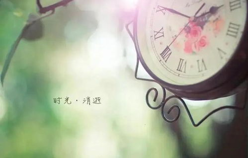 感叹时光流逝的句子