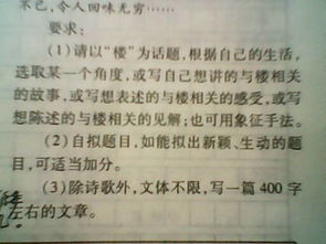 未来的房子作文400字
