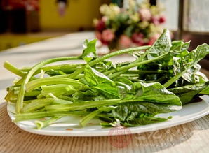 菠菜不能和啥一起吃
