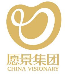 愿景集团
