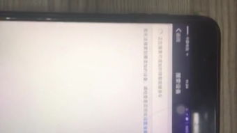 讨教下吃B420益生菌减肥是不是智商税?