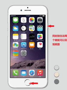 苹果6s怎么截图
