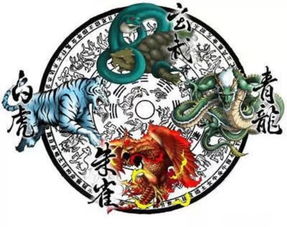 四大神兽vs四大凶兽
