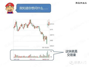 有关股票入门的文章
