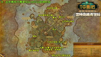 雷神岛稀有
