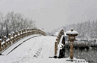 广东下雪
