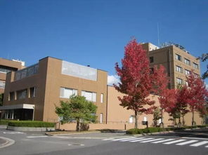 广岛大学药学博士生就业怎么样