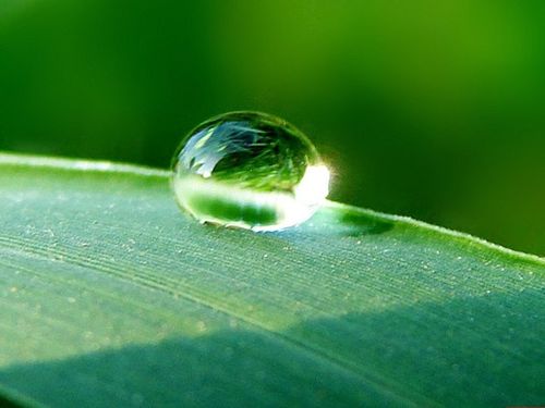 一般的一滴水可以代表多少毫升?