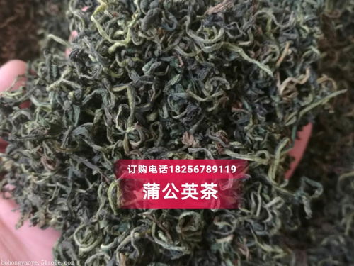蒲公英茶的作用
