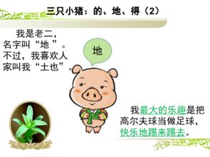 的得地的用法
