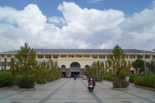 丽江大学
