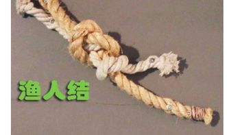 渔人结
