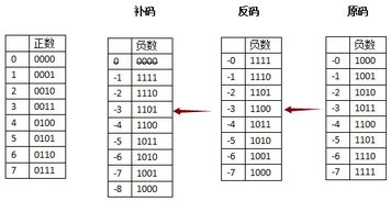 正数的原码反码补码到底是不是一样的?
