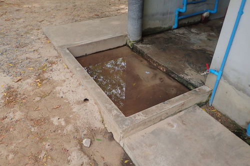 水池防水用什么材料
