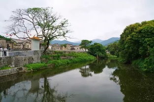 玉湖镇的介绍