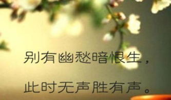 此时无声胜有声的意思
