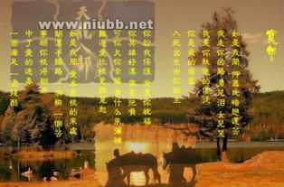 宽恕的近义词
