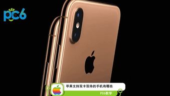 苹果双卡双待手机有哪几款?
