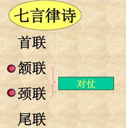 "首联 颔联 劲联"是什么