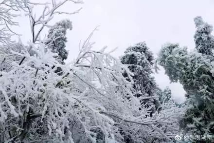 广东省有下雪吗?