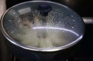 不沾锅涂料
