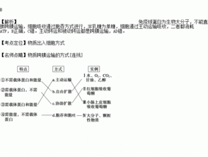 药物被动转运的特点