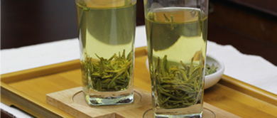 碧螺春与龙井茶哪个好