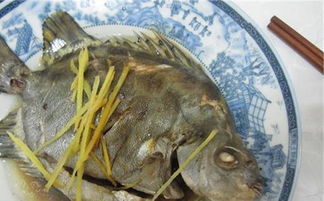 30种最常吃的海鱼