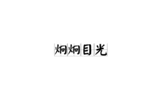 炯炯目光的意思