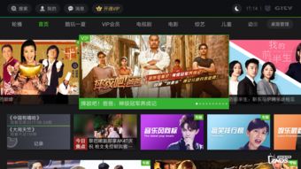 银河奇异果和爱奇艺会员通用吗?