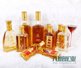 日常养生酒配方大全