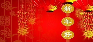 新年的新怎么写的