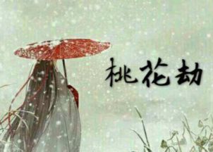 桃花劫是什么意思
