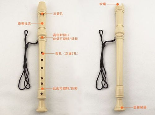 竖笛图片
