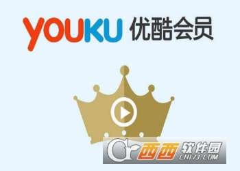 优酷会员可以几个人用
