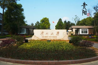 贵州大学王牌专业
