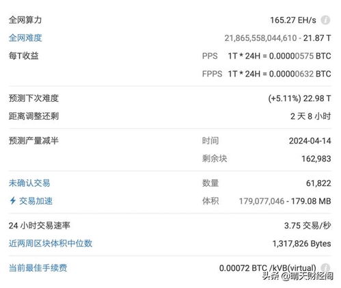 BTB 是什么意思