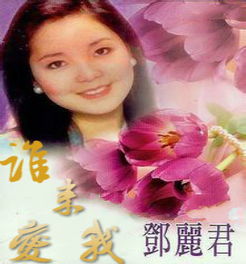 谁来爱我 歌词