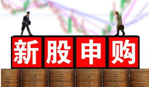 认购新股
