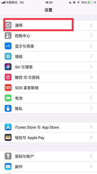 iPhone手机进入盲人模式怎么解除